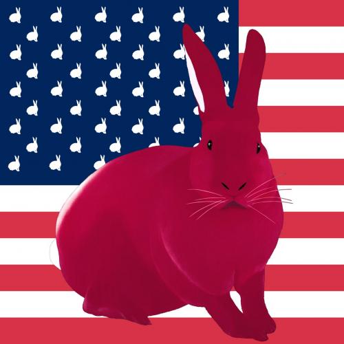 FRAMBOISE FLAG rabbit flag Showroom - Inkjet on plexi, limited editions, numbered and signed. Wildlife painting Art and decoration. Click to select an image, organise your own set, order from the painter on line